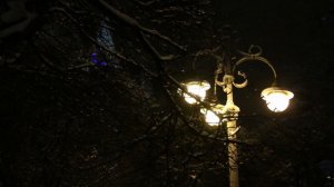 6029490-hd_1920_1080_25fps