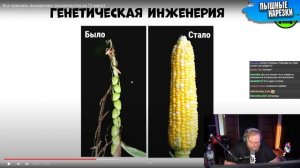 T2x2 Смотрит Все причины вымирания человечества за 12 минут / Реакция T2x2