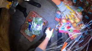 Dumpster diving Massive Fruits Rescue Strawberries Orange Apples Bananas and More