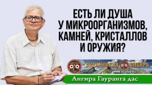 Есть ли душа у микроорганизмов, камней, кристаллов и оружия?