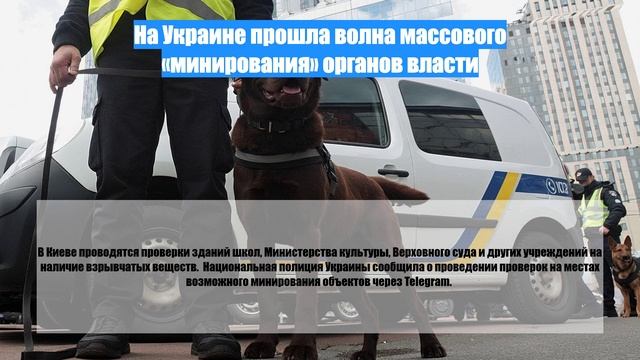 На Украине прошла волна массового «минирования» органов власти