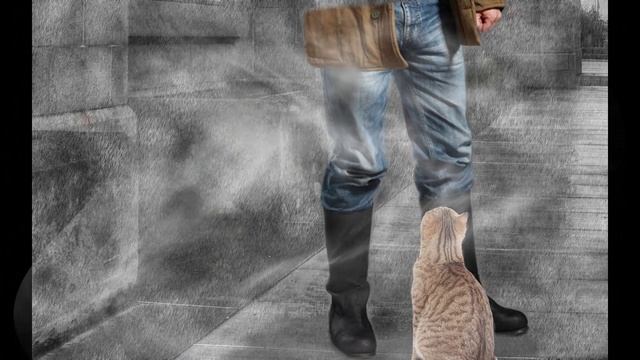 про кота смотреть онлайн