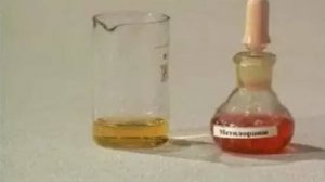 Органическая химия. Аминокислоты: агрегатное состояние; отношение к воде; отношение к индикатору