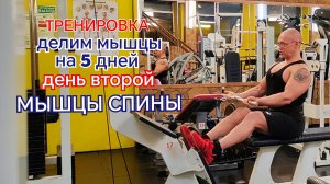 Тренировка. Делим мышцы на 5 дней. День второй. Мышцы спины.