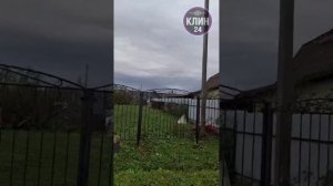 Ураган - Клинский район Московской области д. Березино