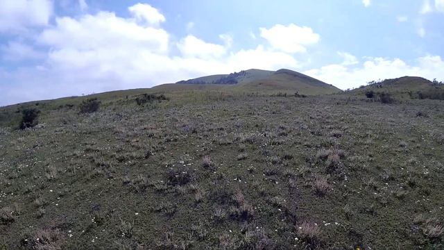 Кисловодск. Пешая экскурсия на гору Кабан. Kislovodsk. Walking tour of Mount Kaban.