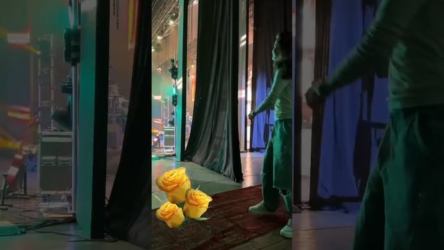 Сары розалар #элвингрей #изи