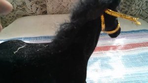 Игрушка Черная Лошадка