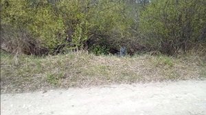 2020_05_10_Финиш