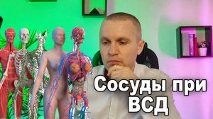 Сосуды при вегетососудистой дистонии (ВСД) и неврозе.