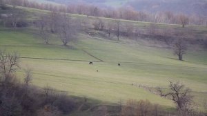 Верхний Дженгутай в середине апреля.