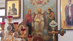 Проповедь епископа Максима в Покровском храме села Паниковец