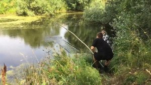 Рыбалка на малявочницу, подъёмник или паук. Ловля живца