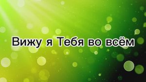 Вижу я Тебя во всём