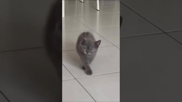 Когда очень устал что собеседник говорит только про себя  #психологмосква