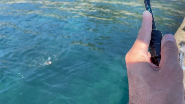 Прекрасный октябрь в Сочи. Рыбалка днем на черноморскую креветку. #fishing #рыбалка #sochi #сочи