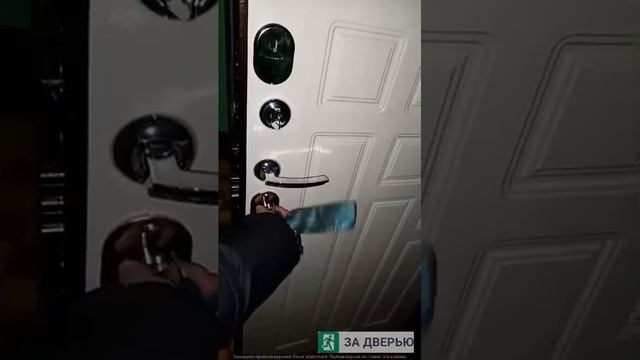 Отзыв о входной двери Феррони Гарда 8