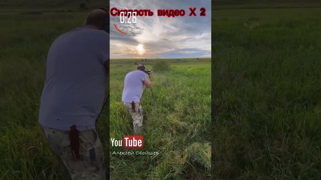 Тест Лапуа Мега сквозь кусты. #охота #LapuaMega #стрельба