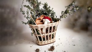 Плетем подвесную корзину из бумажной лозы