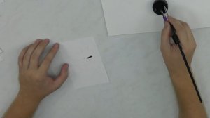 "Жук". Графика