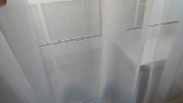 фролы