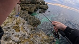 Сарган Черноморское 15.10.2024