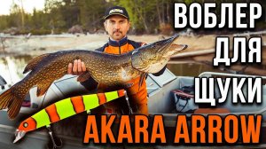 Обзор воблера Akara Arrow 130 SP