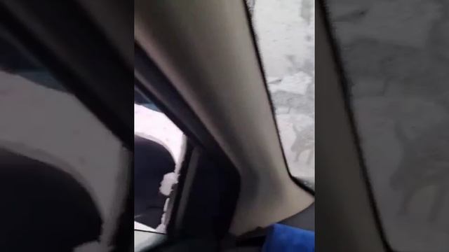 Кто потерял свою хрю-хрю? Свинья разгуливает по дороге. Животные