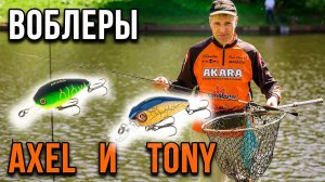 Обзор воблера Akara Tony 35F и Axel 32S