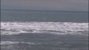 Камчатка, июнь 2021