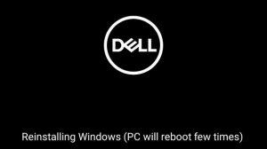 Windows 11 Kill Screen