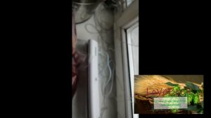 Вишнёвка делаем наливку ДОМА по технологии СУ-ВИД!!!