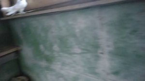 1000016126.mp4