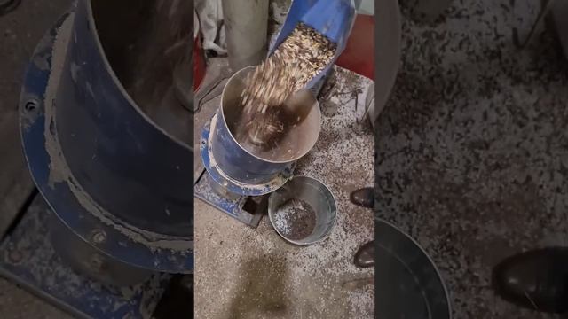 Подкормка для рыб своими руками. Корма для рыб. смотреть онлайн