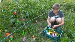 РАСТЕНИЯ ПРОТИВ ЗОМБИ В РЕАЛЬНОЙ ЖИЗНИ  Plants vs Zombies In Real Life 2