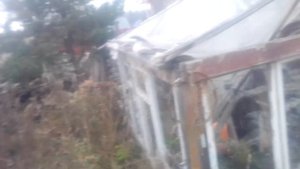 как поживает дом из говна и палок