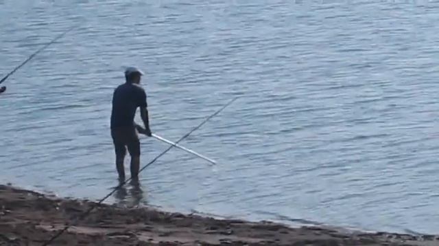 ловим карпа смотреть онлайн