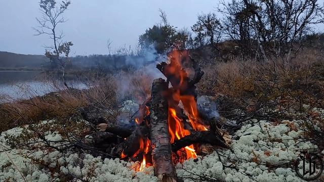 Драконесса. Часть первая. Переход.