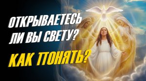 Как понять, происходит ли ваше духовное преображение, открываетесь ли вы Свету?