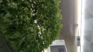 стильный потолок своими руками