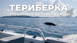 Путешествие на край земли: Териберка часть 4... море, киты и парк