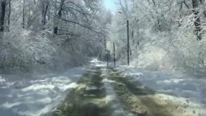 Живите с запахом мечты