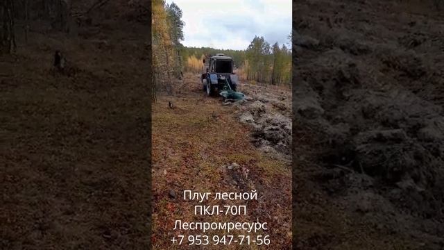 Плуг лесной ПКЛ-70П Леспромресурс на тракторе МТЗ-82 +7 953 947-71-56 смотреть онлайн