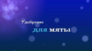 Чем УДОБРЯТЬ мяту? Нужно ли удобрять мяту?