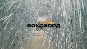 Встреча студентов FOXFORD