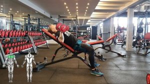 Жим гантелей на наклонной скамье лёжа