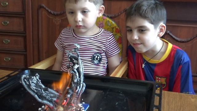 НАУКА ДЛЯ МАЛЕНЬКИХ ДЕТЕЙ. ФАРАОНОВА ЗМЕЯ. ХИМИЯ ДЛЯ МАЛЫШЕЙ