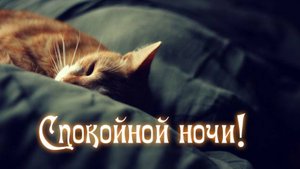 Спокойной ночи картинки - Пожелание доброй ночи #спокойнойночи #добройночи #спокойночисладкихснов