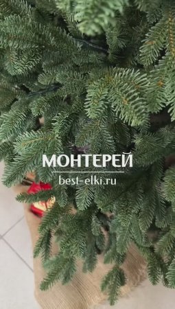 Ель искусственная «МОНТЕРЕЙ». Обзор новогодней елки. Елки на best-elki.ru🌲Доставка по России🇷🇺