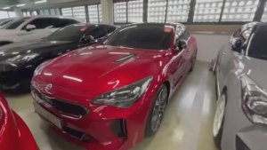 Осмотр KIA STINGER в Корее